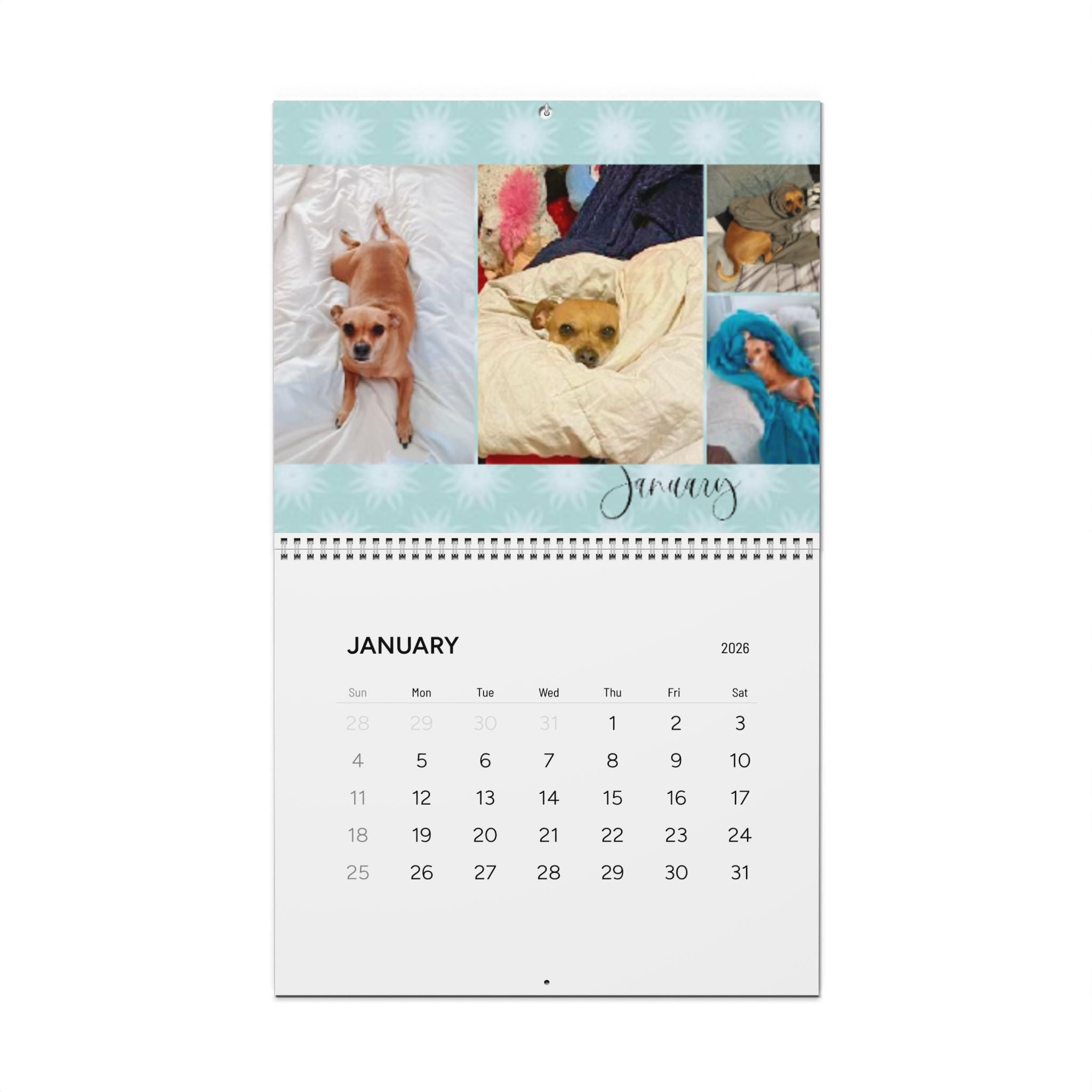 2026 Pepperoni Collection Wall Calendar